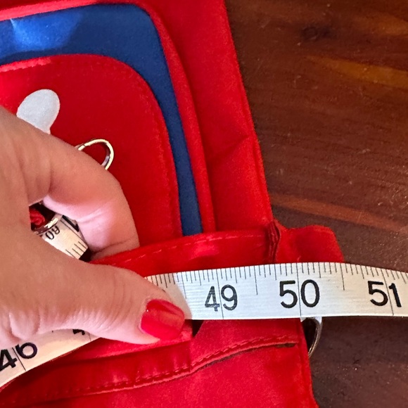 Profanity Brand - MLB official - Philadelphia Phillies Crossbody Purse - Picture 14 of 14